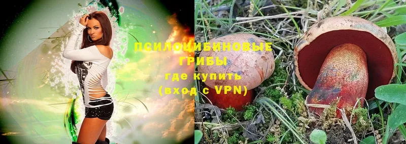 Псилоцибиновые грибы MAGIC MUSHROOMS  blacksprut сайт  Алдан 